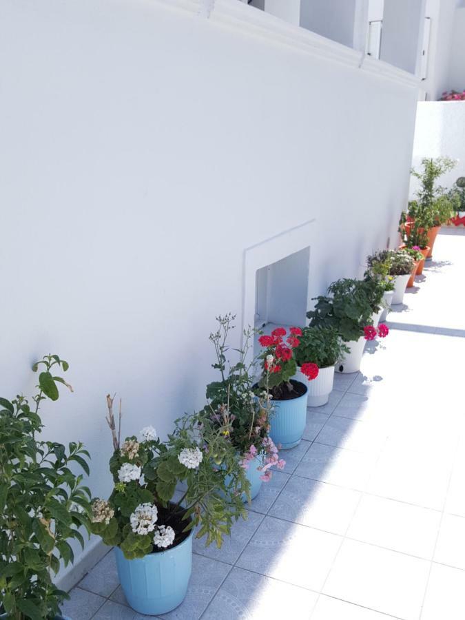 Pension Ptolemeos Apartment